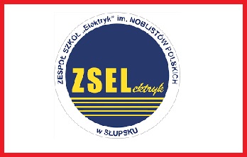 obrazek przedstawia logo elektryka