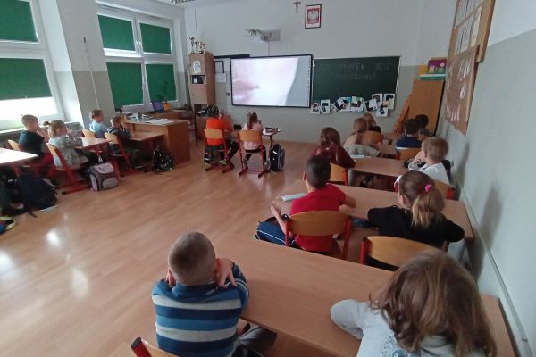 Mistrzowie planowania z 2a i 2c Czy smutek jest nam potrzebny?