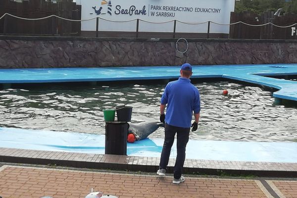 Wycieczka klas pierwszych do fokarium