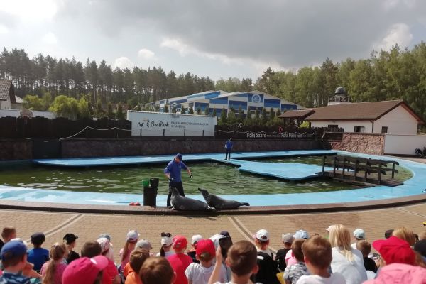 Wycieczka klas pierwszych do fokarium