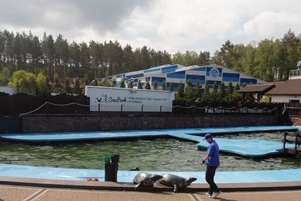 Wycieczka klas pierwszych do fokarium