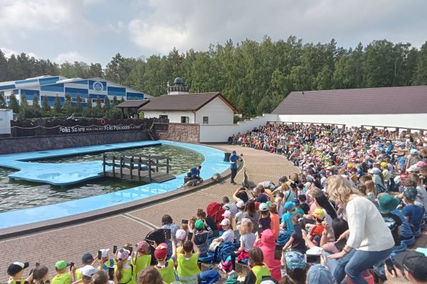 Wycieczka klas pierwszych do fokarium