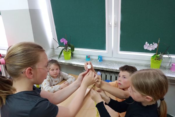 Mistrzowie planowania z 2a i 2c