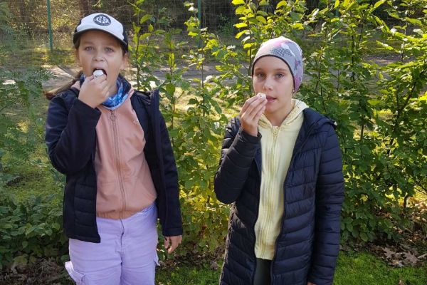 Wycieczka 3a i 3c do lasu