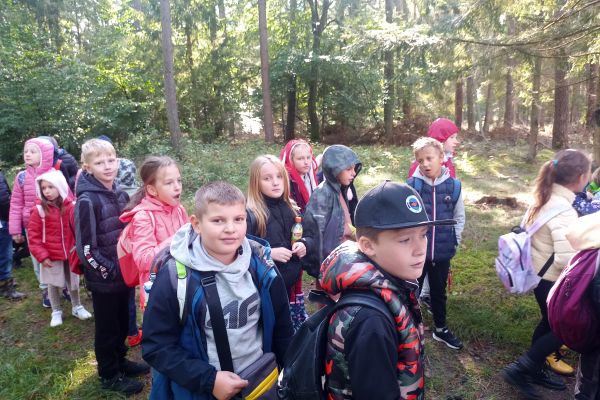 Wycieczka 3a i 3c do lasu