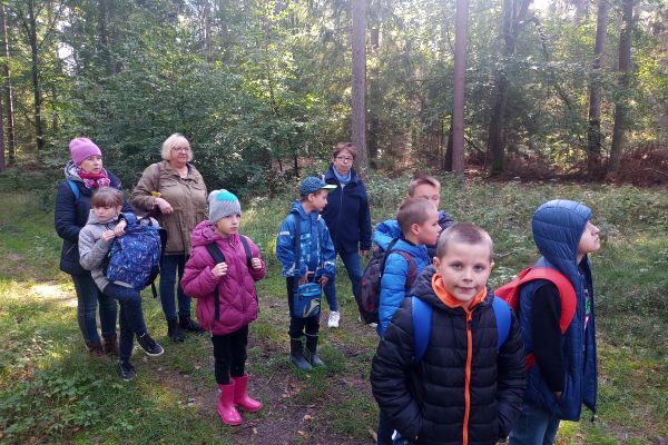 Wycieczka 3a i 3c do lasu