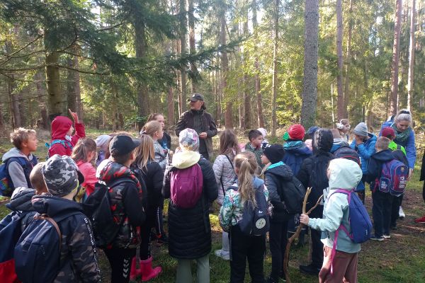Wycieczka 3a i 3c do lasu