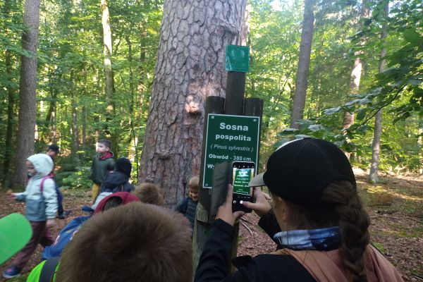 Wycieczka 3a i 3c do lasu