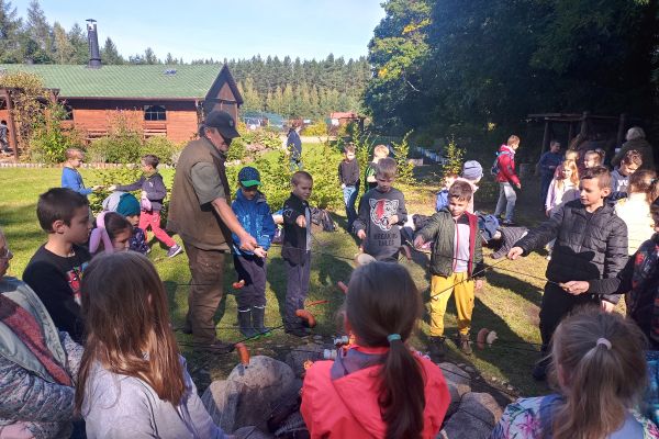 Wycieczka 3a i 3c do lasu