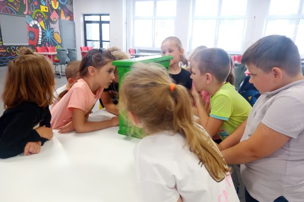 Warsztaty pszczelarskie