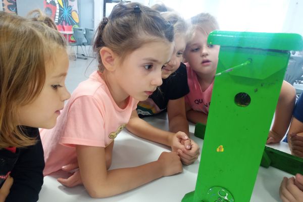 Warsztaty pszczelarskie