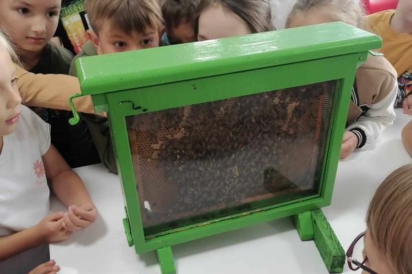 Warsztaty pszczelarskie