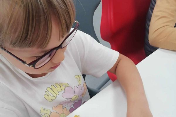 Warsztaty pszczelarskie