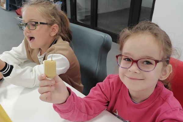 Warsztaty pszczelarskie