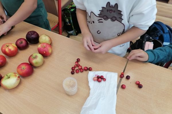 Innowacja  w klasach 1 - Literki w akcji 