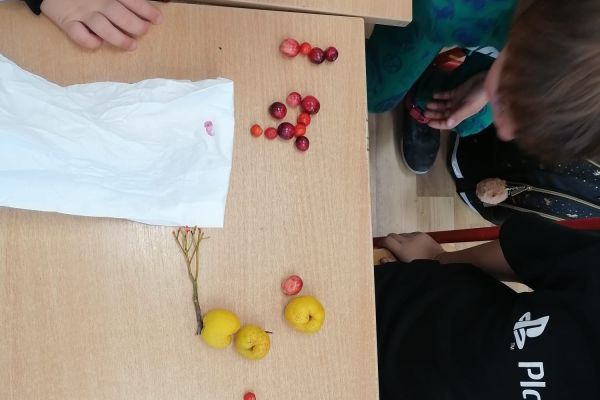 Innowacja  w klasach 1 - Literki w akcji 