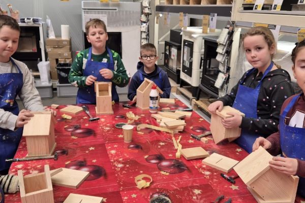 2 a na warsztatach w Castoramie