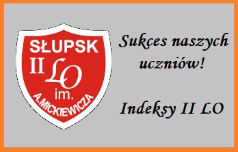 obrazek przedstawia tarczę II LO w Słupsku